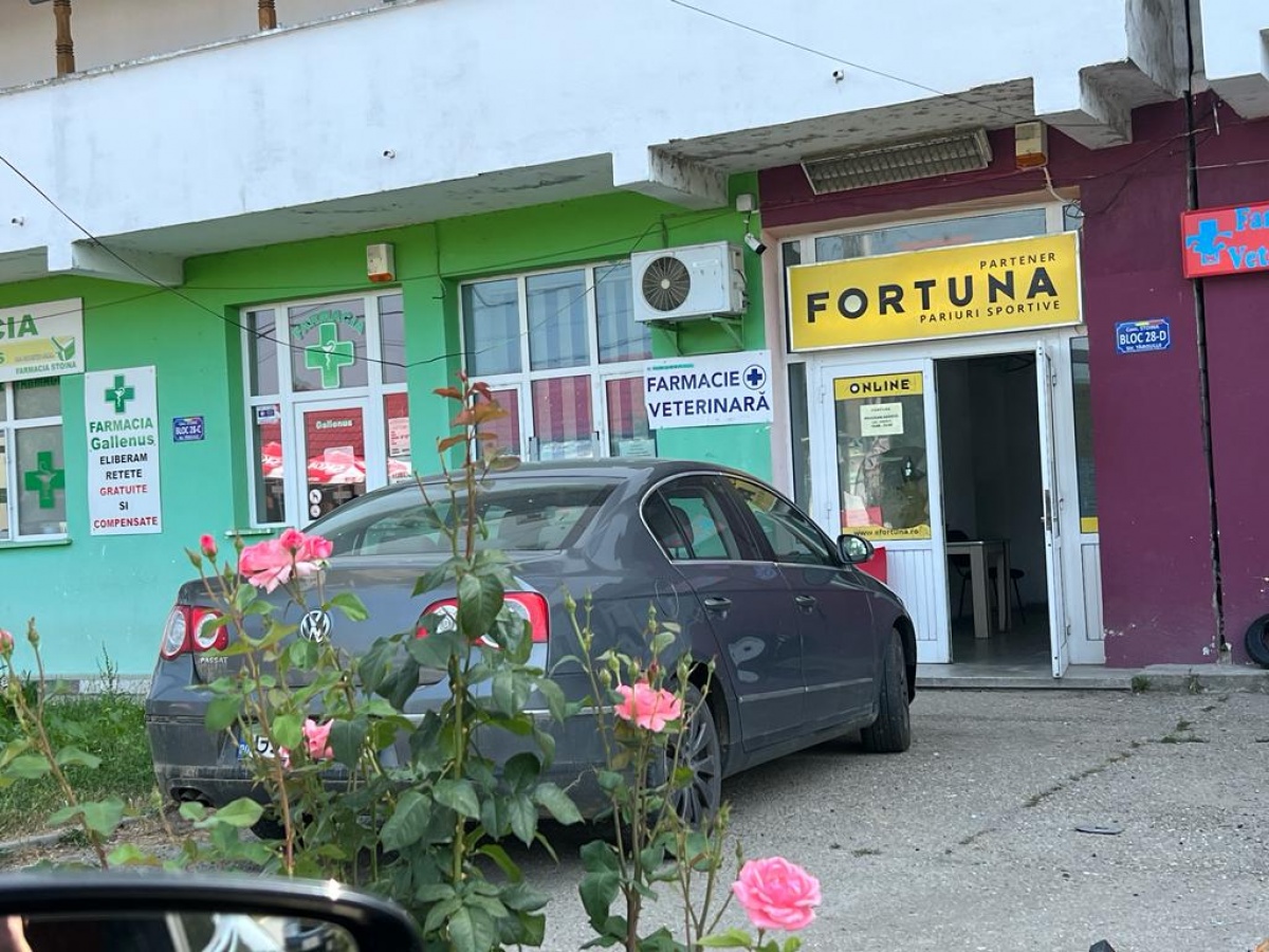 O agenție Fortuna