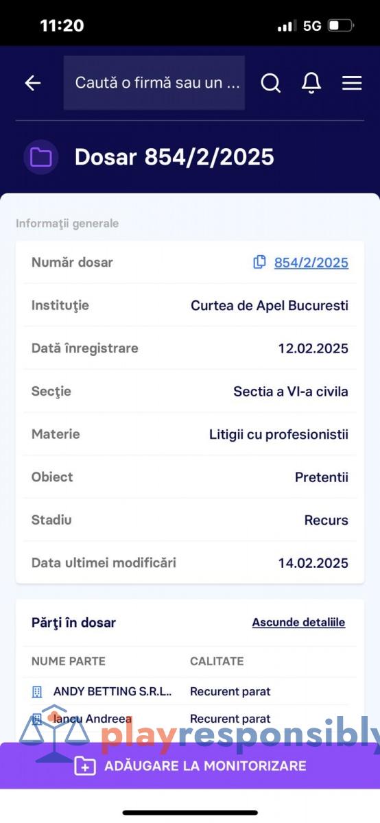 Procesomanul Ghețu și firmele în care este conectat