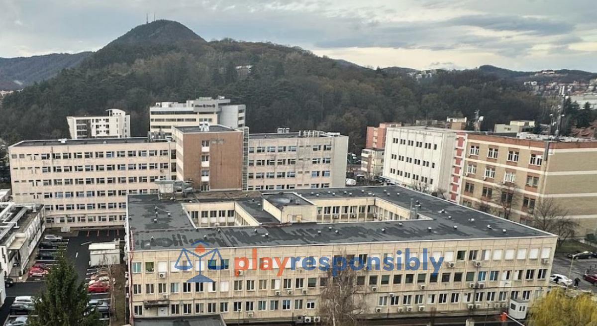 Periculoșii frați Doroftei au bătut palma filantropic cu fundația lui Codin Maticiuc / UPDATE: precizările Fundației DMS