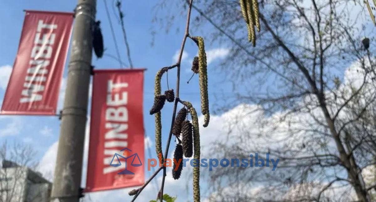 Winbet avea steaguri pe stâlpi    FOTO Captură pressone.ro