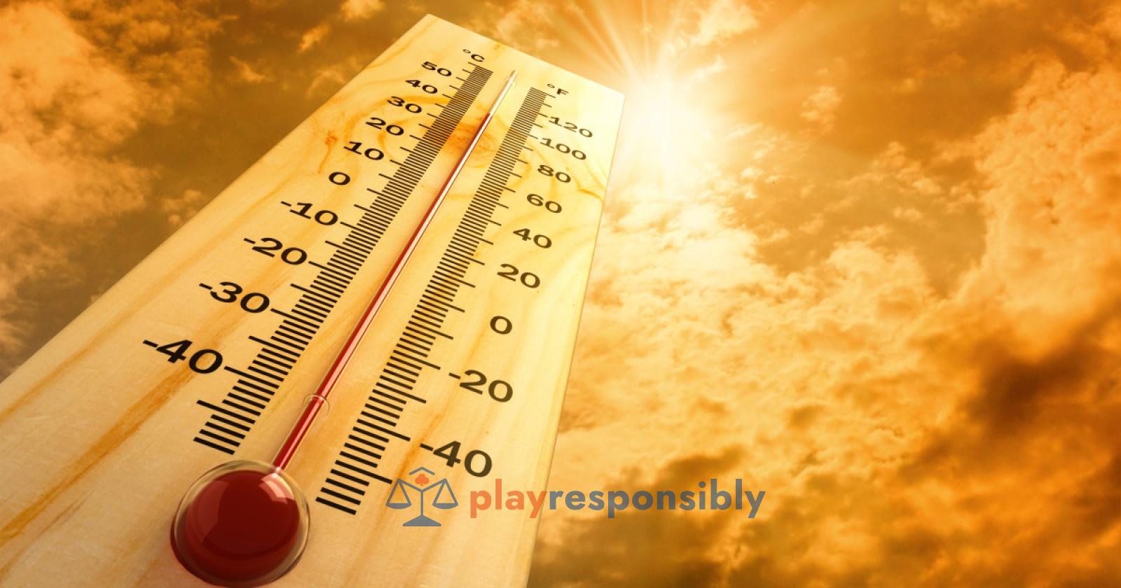 Mișcarea efectuată de Polymarket după povestea uluitoare a pariului pe temperatura din Paris