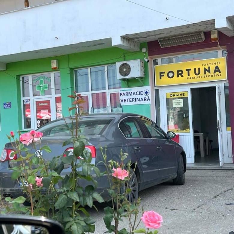 O agenție Fortuna