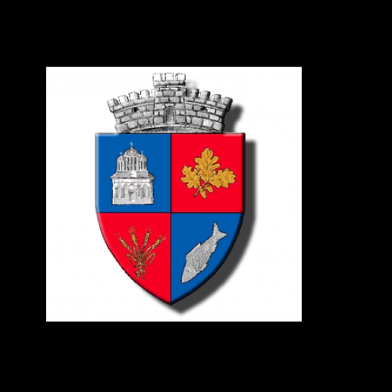 Stema comunei    FOTO: Primăria comunei Gruiu