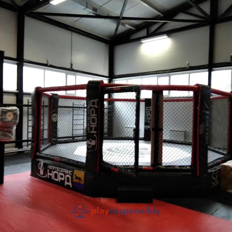 Cușcă de MMA