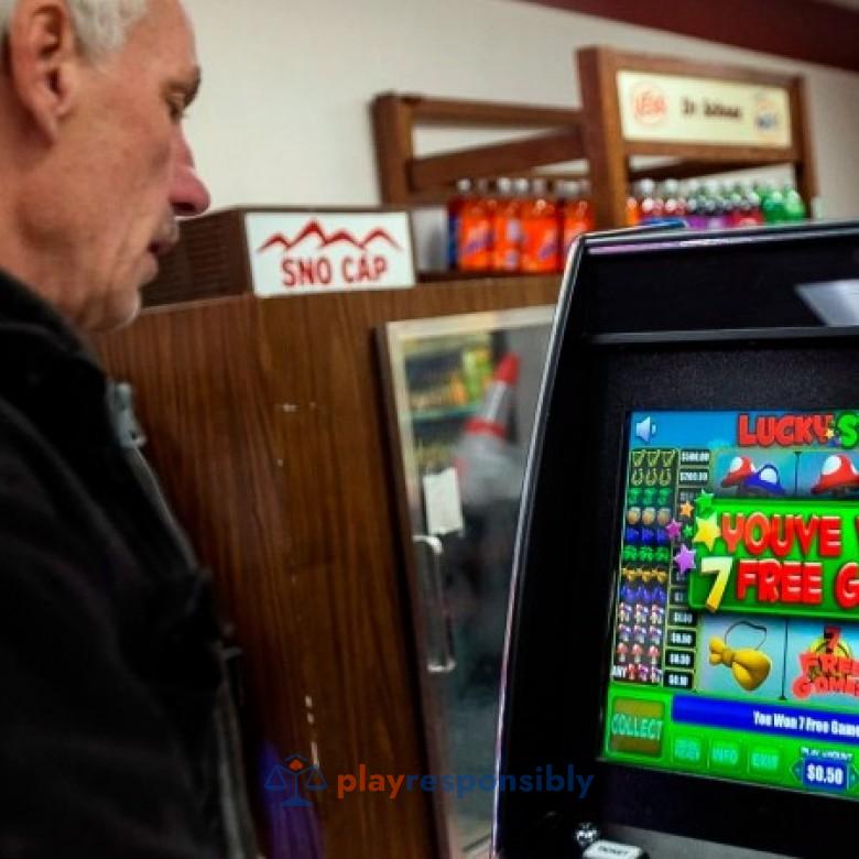VLT-urile sunt produse de firma austriacă Novomatic