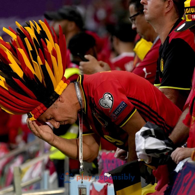 Fan belgian